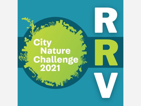 Rock River Valley City Nature Challenge