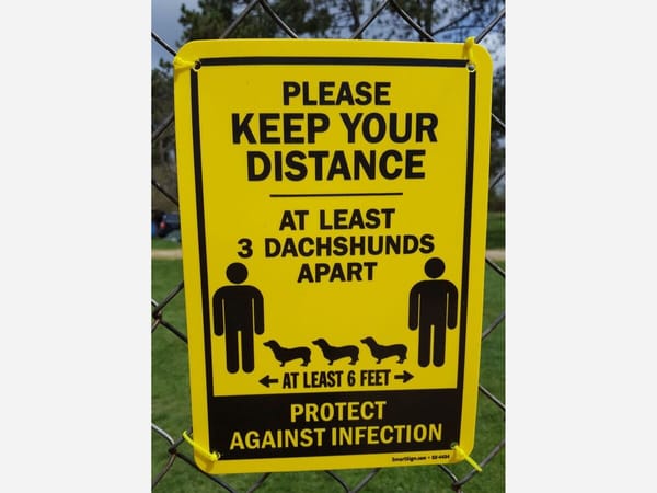 Photo of the Weekend: 4/25/2021