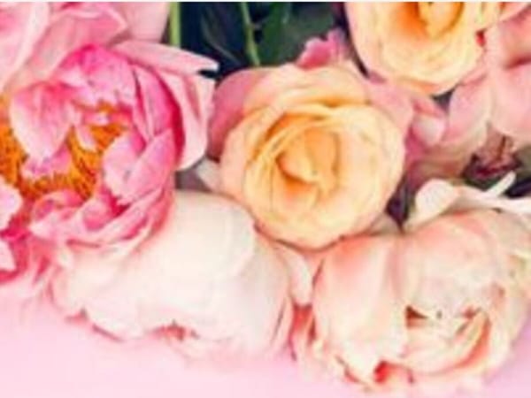 Mother’s Day Mingle @ Downtown Rockton