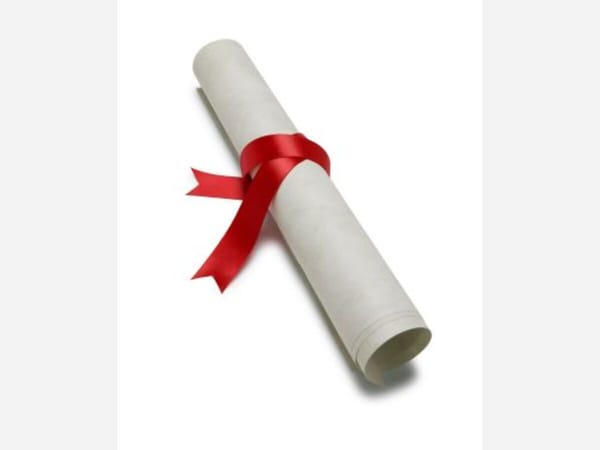 Hononegah National Honor Society and Illinois State Scholars