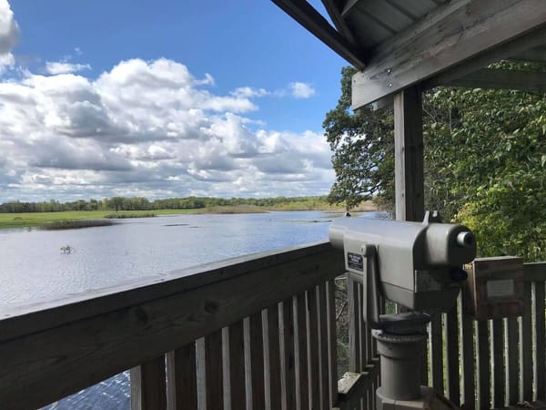 Hike at Nygren Wetland