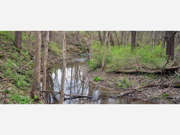 Every Thursday Stewardship Day: Burr Oak Valley Nature Preserve