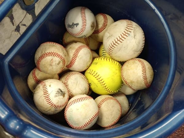 "Flip the diamonds around:" Cross Park neighbors ask for a solution to baseballs hit into their yards