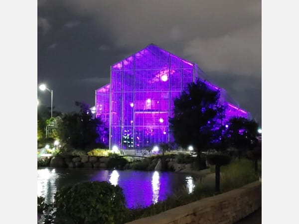 Roscoe's Live R.E.A.L. Foundation hosts opioid overdose awareness ceremony in Rockford