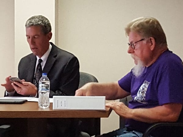 Roscoe Township: low tax levies, good financial audit