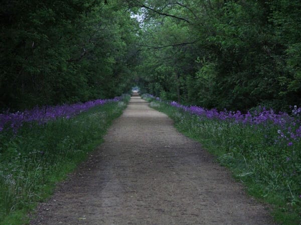Along the Stone Bridge Trail