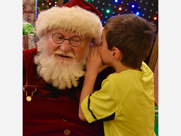 Williams Tree Farm: a regional center for holiday activity in Rockton