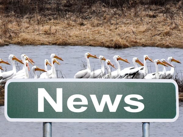 News Briefs: Mar. 26, 2022