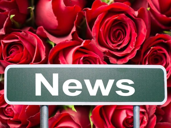 News Briefs from Rockton & Roscoe: Mar. 5, 2022