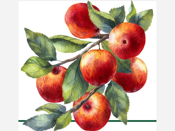 So You Have Apple/Fruit Trees