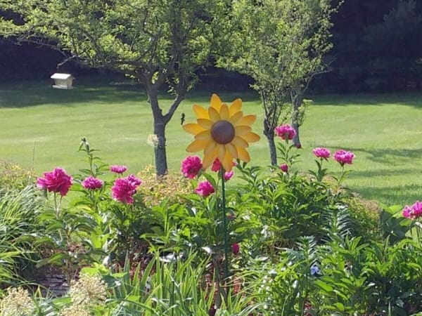 Spring Plant Sale