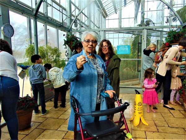 North Suburban Library patrons visit Nicholas Conservatory's butterfly house
