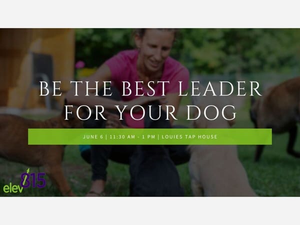 Be the Best Leader for your Dog: Lunch & Learn