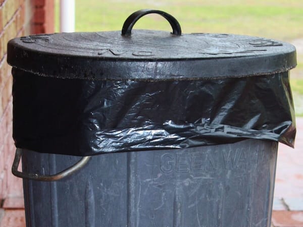 Village of Rockton votes to amend garbage ordinance, raises video gaming terminal fees