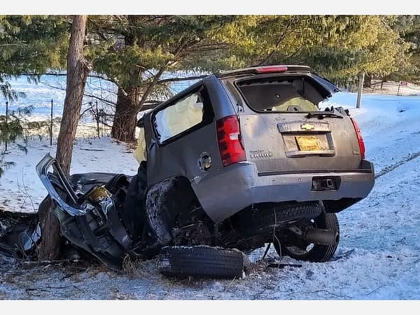 Fatal collision with tree off Shirland Road