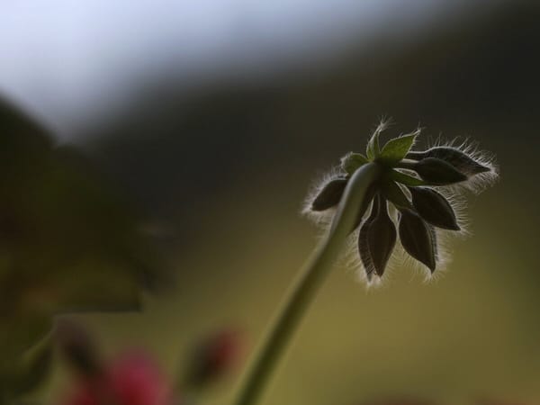 Strong spirits: Don't stay the same!