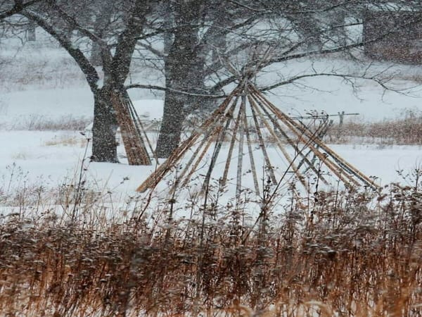 Out and about in winter at Macktown Living History