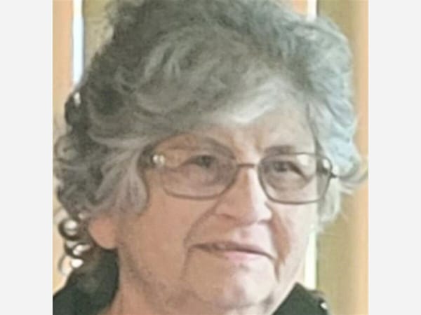 Linda Daniels enjoyed snowmobiling and visiting their Wisconsin cabin
