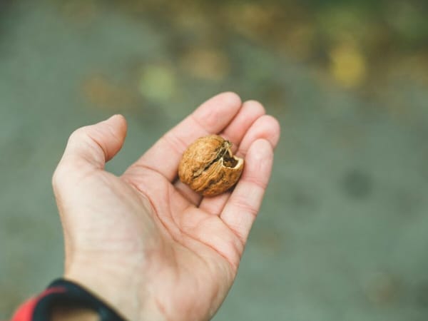 Strong spirits: one question - one thing