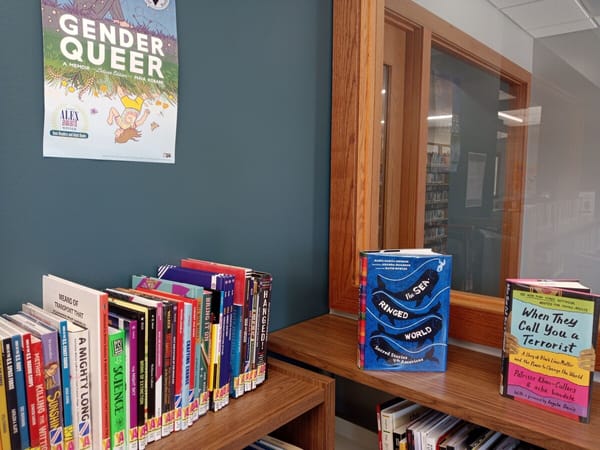 Patrons at Talcott Library object to Pride Month books, board member reappointed