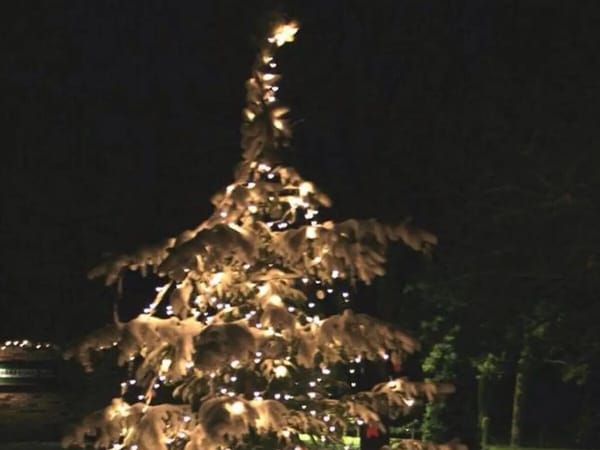 News Briefs for the Stateline: 11/25/2022