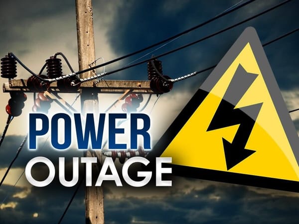 Broken tree limb takes out power for 700 homes in Chicory Ridge