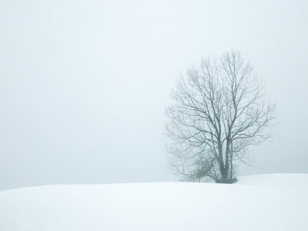 News Briefs 1/16/2024: it's still very cold