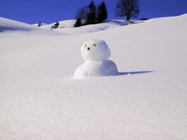 What's happening in the Stateline: Friday, Jan 12 - Friday, Jan 19