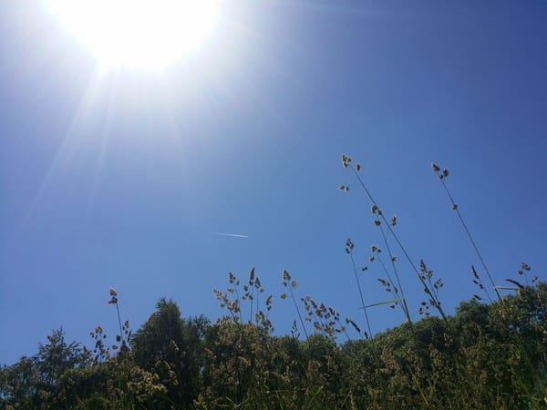 Strong spirits: summer grace