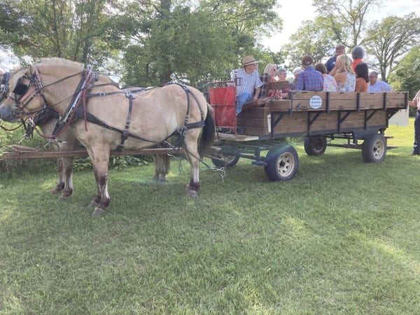 A beautiful evening for a Party on the Prairie