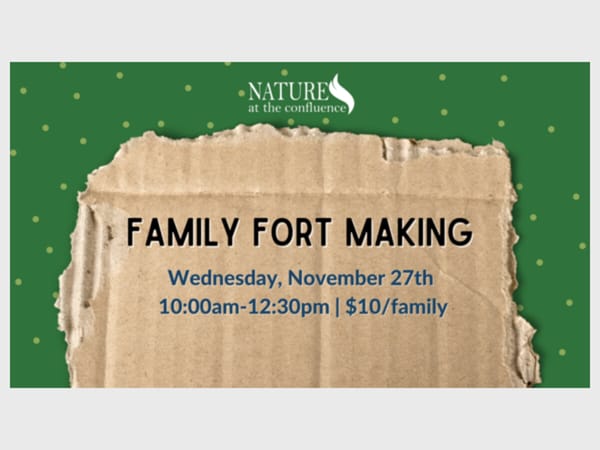 Family Fort Making