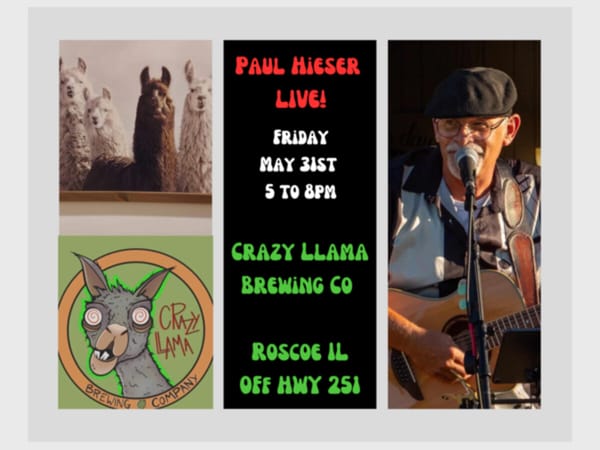 Pauley at Crazy Llama Brewing Co