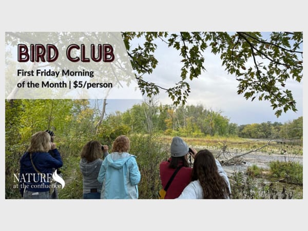 Bird Club