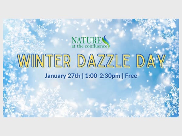 Winter Dazzle Day