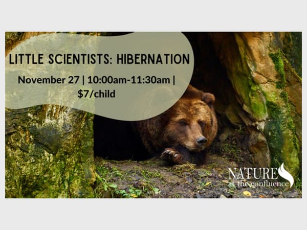 Little Scientists: Hibernation