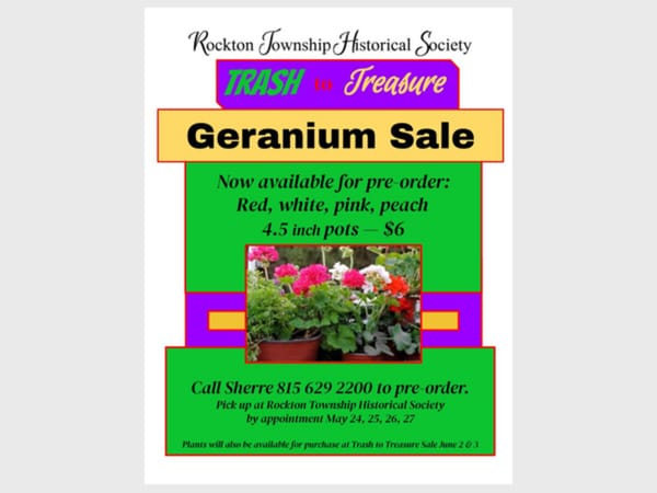 Geranium Sale
