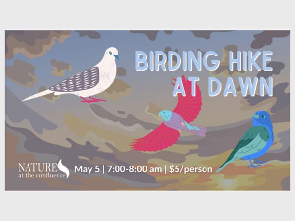 Birding Hike at Dawn