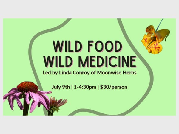 Wild Food Wild Medicine