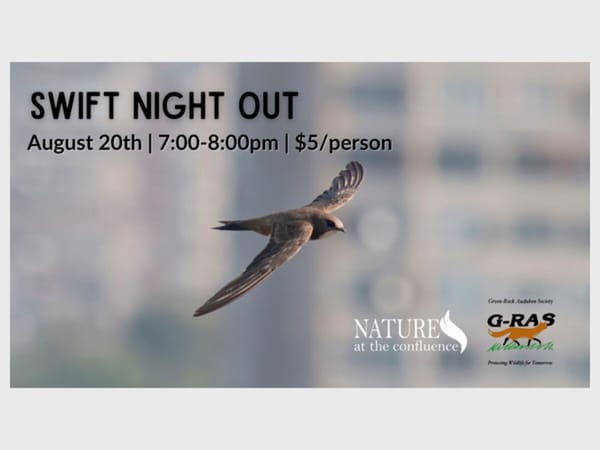 Swift Night Out