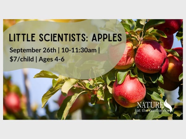 Little Scientists: Apples