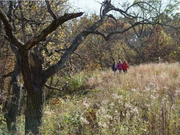 OAKtober Hike