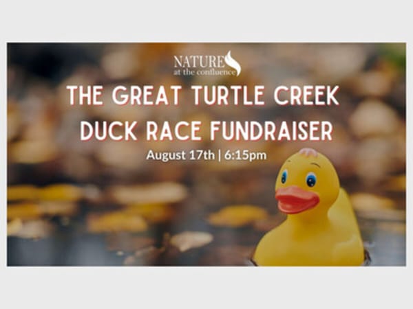 The Great Turtle Creek Duck Race
