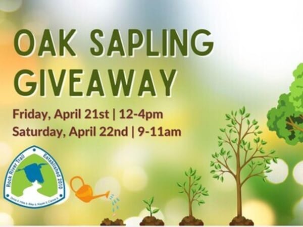 Oak & Hickory Sapling Giveaway - Earth Day Event