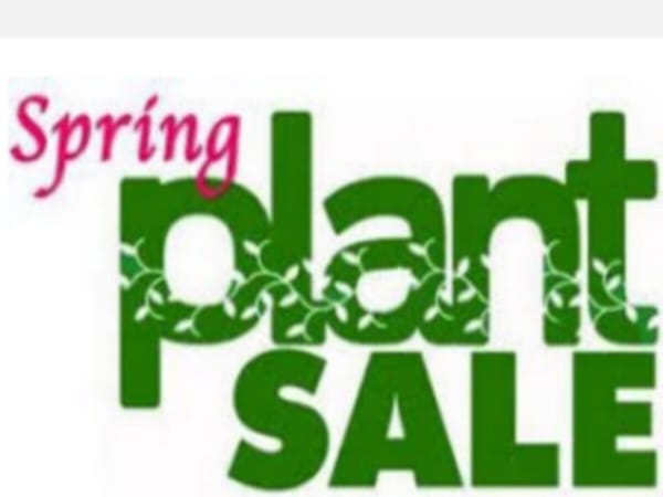 Spring Plant Sale