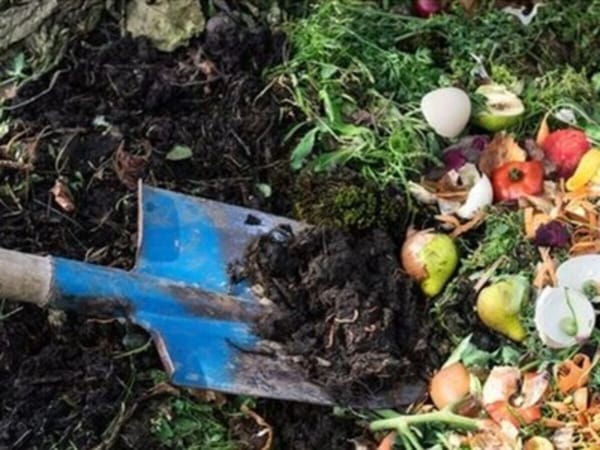 Roscoe Gardening Club: The Wild World of Composting