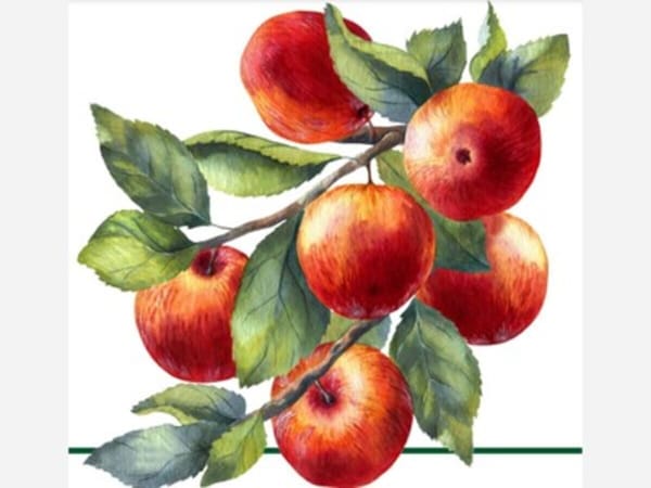 Apple Cider Sunday at Macktown