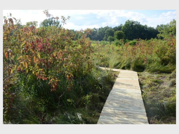 Open House at Lost Flora Fen on Raccoon Creek