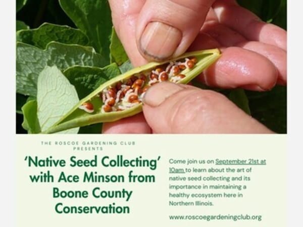 Roscoe Gardening Club: Illinois Wildflowers and Their Seeds