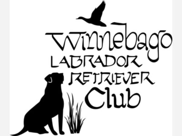 Winnebago Labrador Retriever Club Show