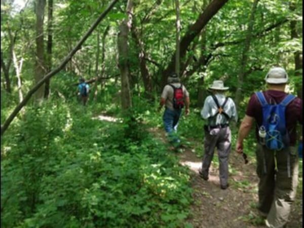 Intro to Community Science Hike - Fall BudBurst!